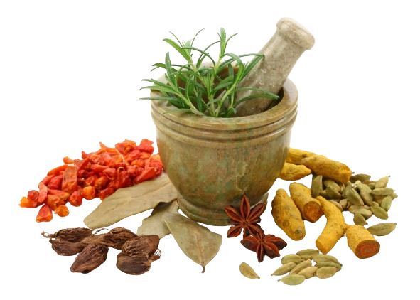 Ayurvedic Wellness