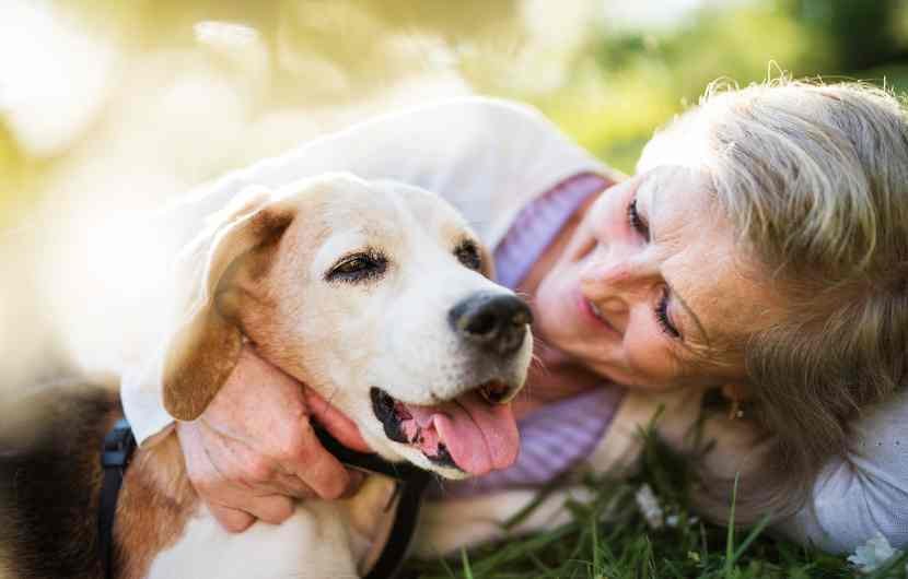 Senior Pet Care