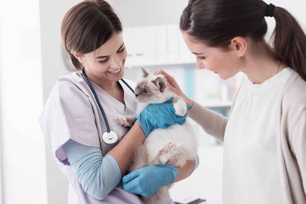 Vet Care