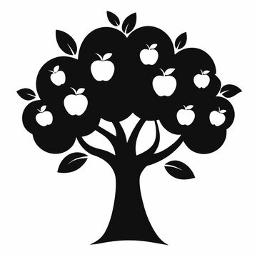 Authentic Treatments